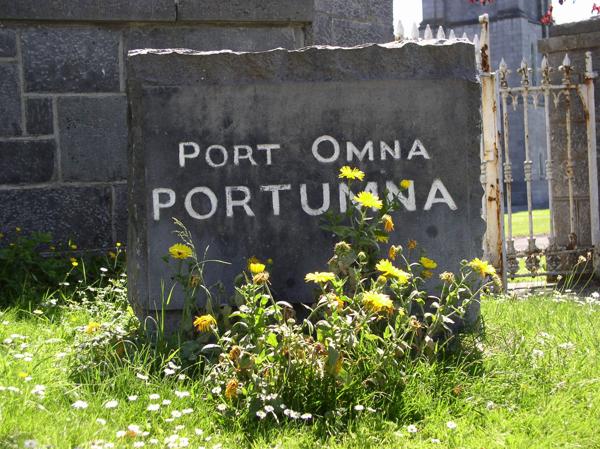 Portumna